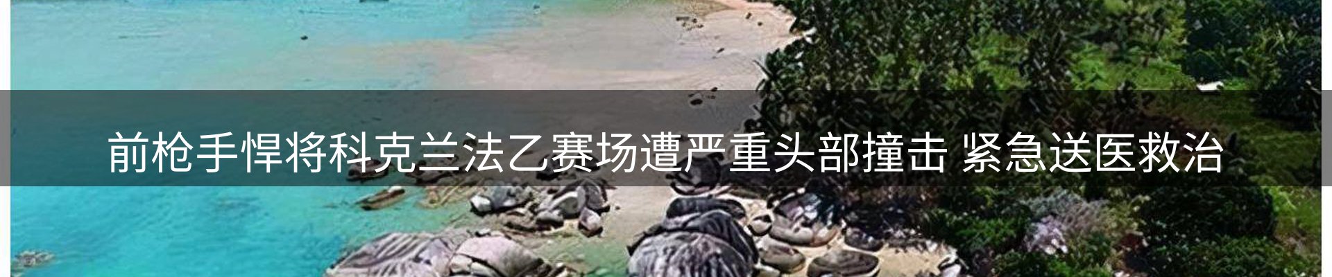 品牌资讯