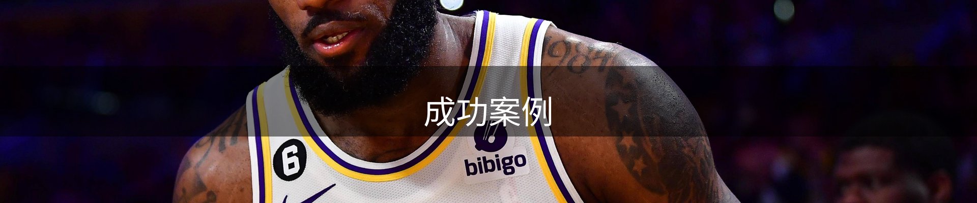 成功案例