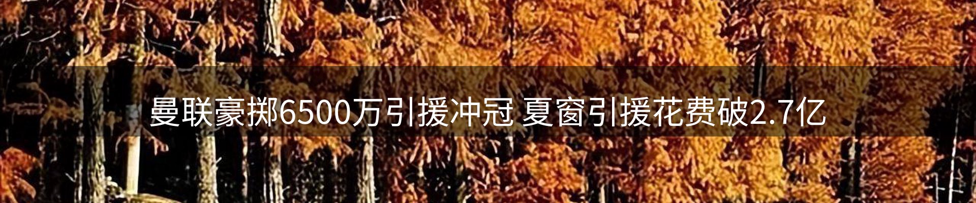 品牌资讯