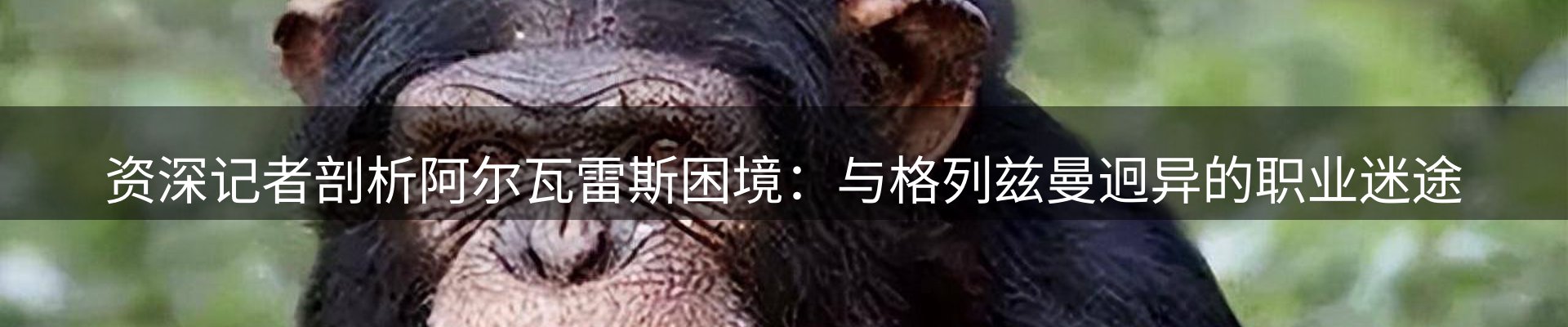 资讯播报